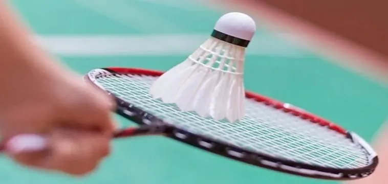 Cá Cược Cầu Lông Tại 7Fun7: Hướng Dẫn & Kinh Nghiệm 2 Cá Cược Cầu Lông Tại 7Fun7: Hướng Dẫn & Kinh Nghiệm