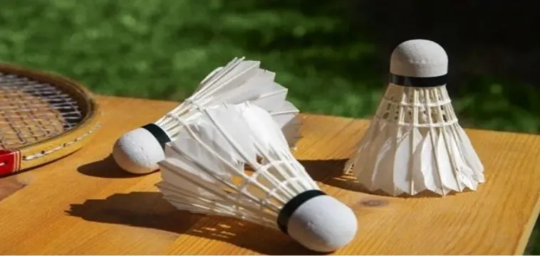 Cá Cược Cầu Lông Tại 7Fun7: Hướng Dẫn & Kinh Nghiệm 4 Cá Cược Cầu Lông Tại 7Fun7: Hướng Dẫn & Kinh Nghiệm